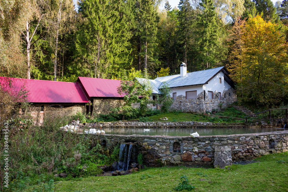 Outbuildings and sauna buildings with a duck pond in a beautiful forest area
Outbuildings and sauna buildings with a duck pond in a beautiful forest area