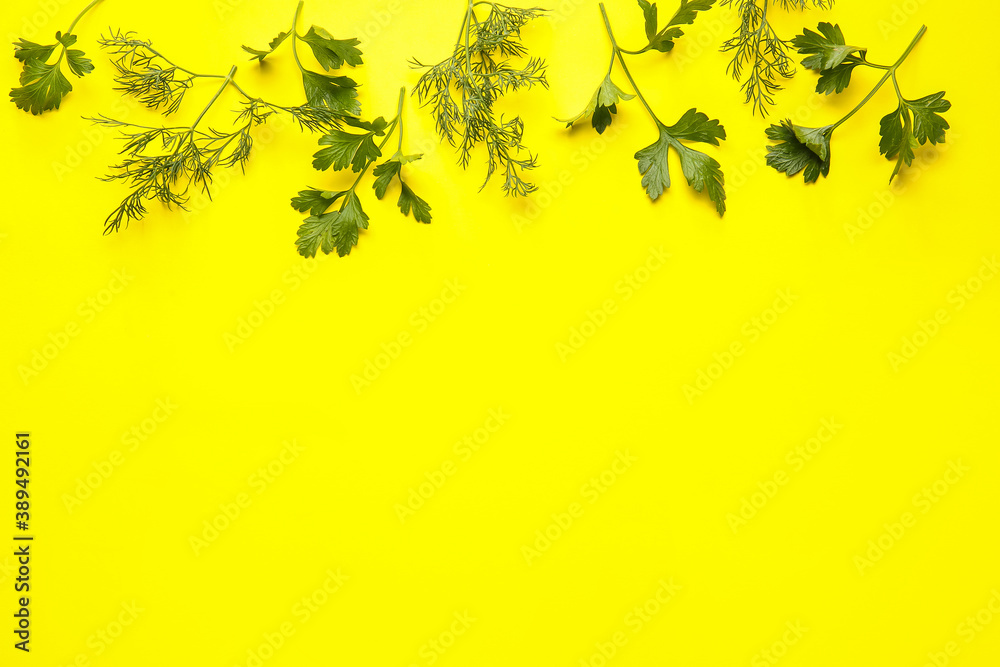 Fresh parsley and dill on color background Fresh parsley and dill on color background