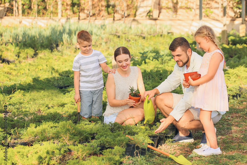 Fototapeta premium Young family working in garden