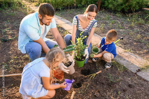 Young family working in garden