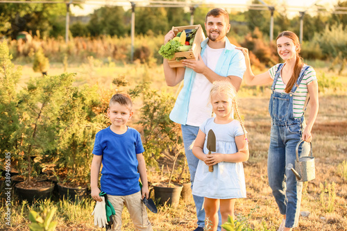 Young family with harvest i...