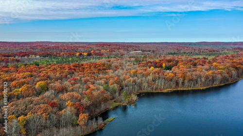 Foliage Leaves Lake and Sky © Leon718