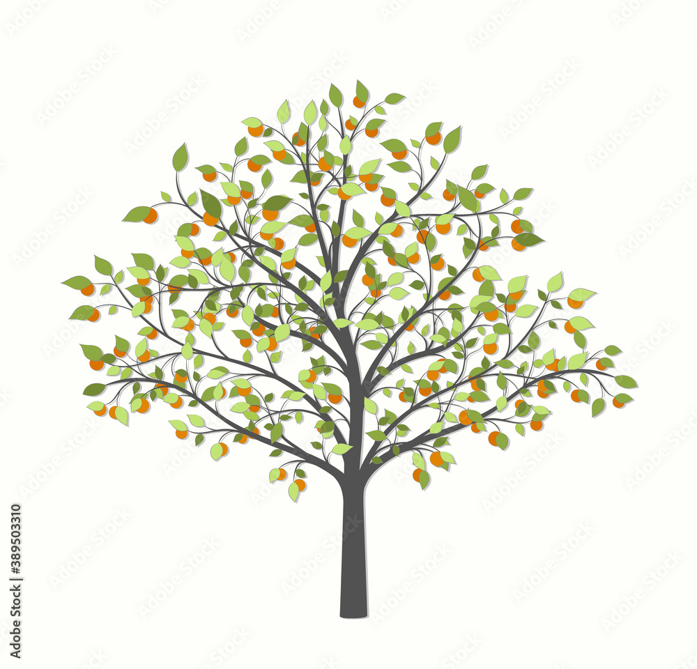 Obraz premium Tree with green leaves and fruit