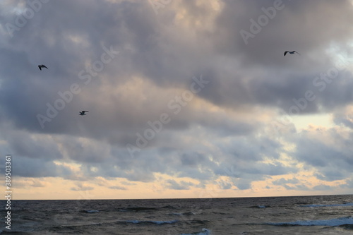 View of the evening sky over the ocean with birds in the sky