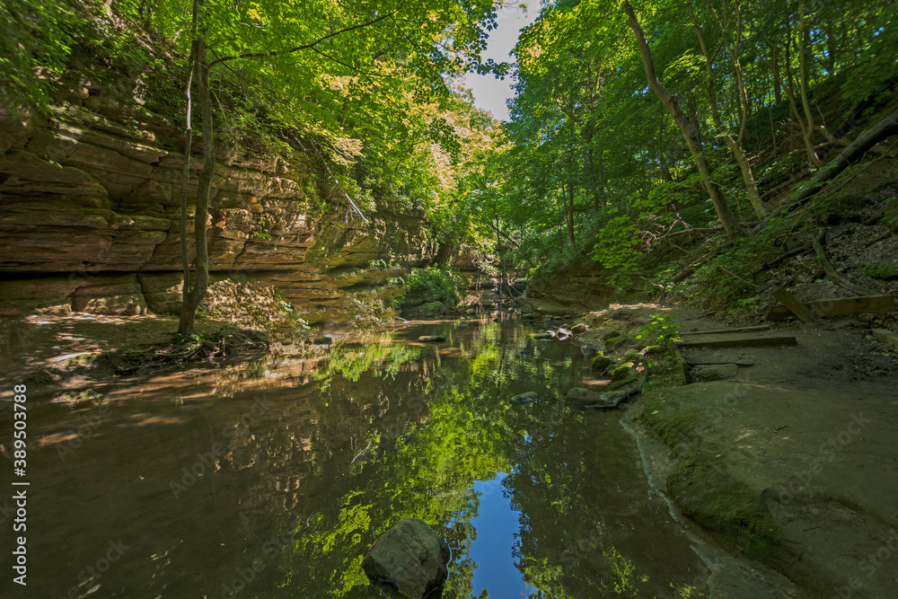 Shaded Green Canyon in the Summer Shaded Green Canyon in the Summer