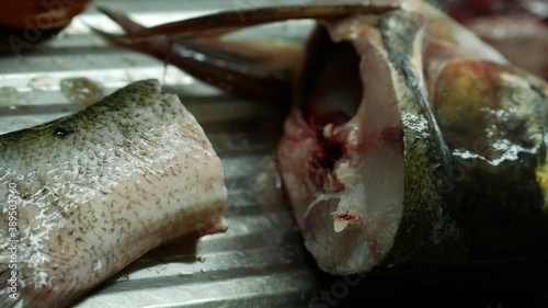 Cutting up raw fish. Cooking fish in the home kitchen. A woman peels and cuts a belan fish. Silver carp. Hypophthalmichthys molitrix. Chef cleaning silver carp in the kitchen photo