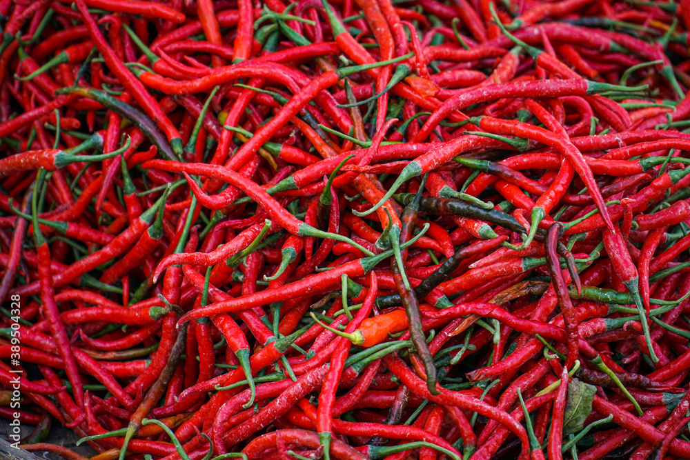 Spicy red chilies in the market. Top view.               
