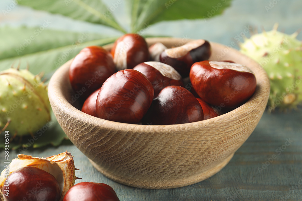 Horse chestnuts in bowl on blue wooden table, closeup Horse chestnuts in bowl on blue wooden table, closeup