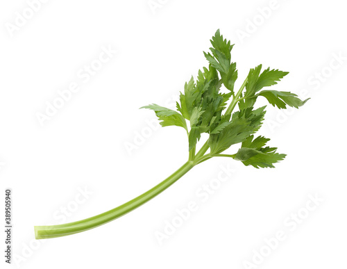 Fresh green celery stem with leaves isolated on white