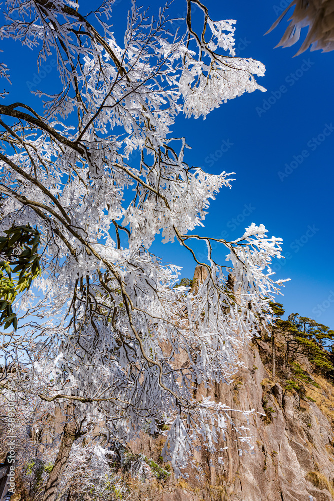 Rime on a sunny afternoon in Huangshan Scenic Area, Anhui, China Rime on a sunny afternoon in Huangshan Scenic Area, Anhui, China