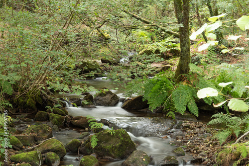 nature green background. Water stream with mossy rocks in Monte Lameiro.