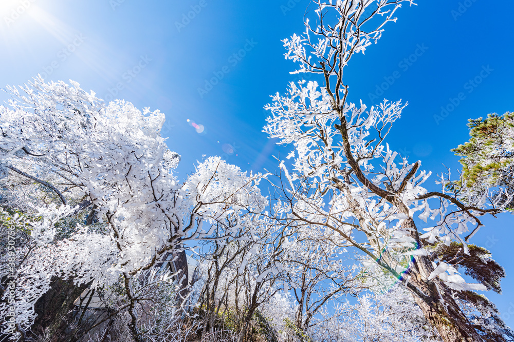 Rime on a sunny afternoon in Huangshan Scenic Area, Anhui, China Rime on a sunny afternoon in Huangshan Scenic Area, Anhui, China