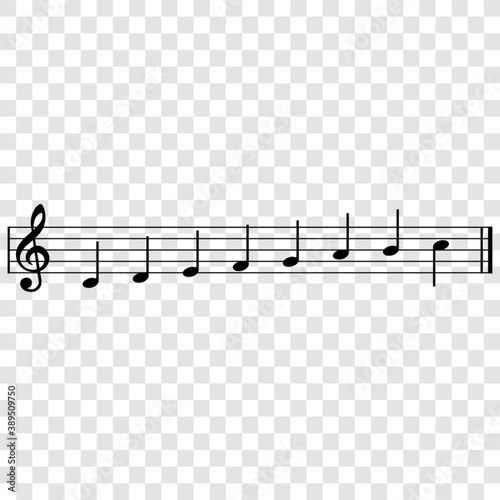Musical gamma notes, isolated vector illustration.