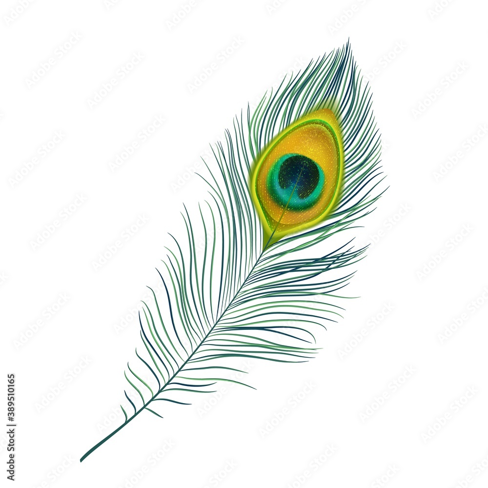 Peacock feather isolated vector icon, realistic bird plume with green and gold colored ornament. Beautiful fluffy iridescent feather from peafowl tail. Graphic element for design, decoration detail Peacock feather isolated vector icon, realistic bird plume with green and gold colored ornament. Beautiful fluffy iridescent feather from peafowl tail. Graphic element for design, decoration detail