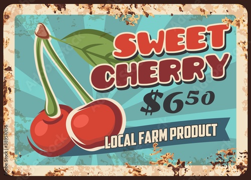 Sweet cherry vector rusty metal plate for local farm market. Vintage rust tin sign with ripe cherries and leaves. Orchard farmer production retro poster or shop ad promo, price tag, ferruginous label