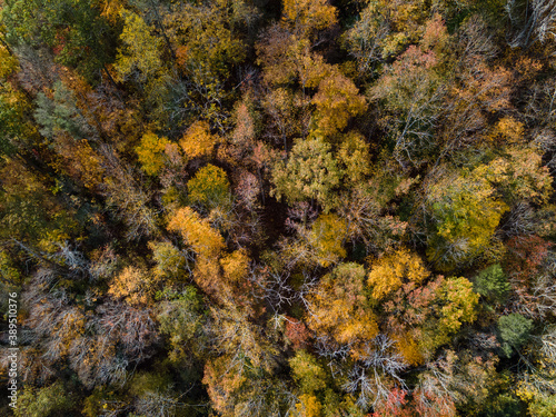 Aerial views of fall colors © Barry