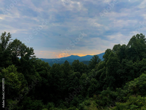 sunrise over forest