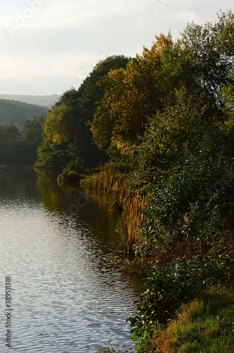 Autumn afternoon with nicely coloured broadleaf trees at the bank of lake Jelenec - Remitaz, western Slovakia.  photo