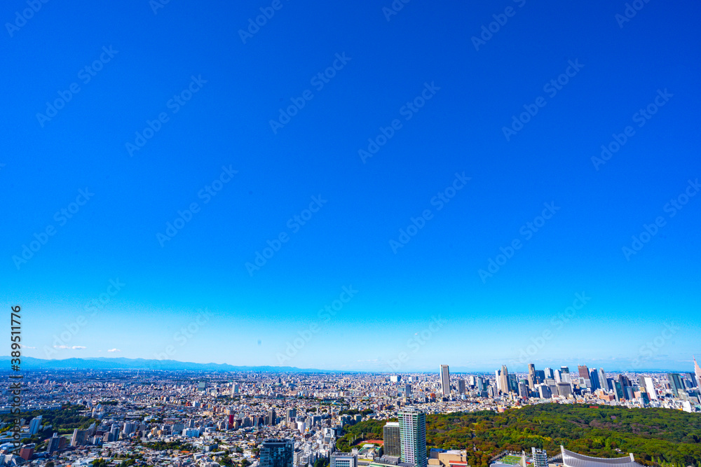 Fototapeta premium 【渋谷スカイより・広角撮影】東京都、都市景観/新宿副都心・代々木公園方面