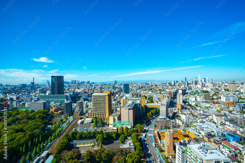 Fototapeta premium 【文京シビックセンターより】東京都内、都市景観/新宿・副都心方面