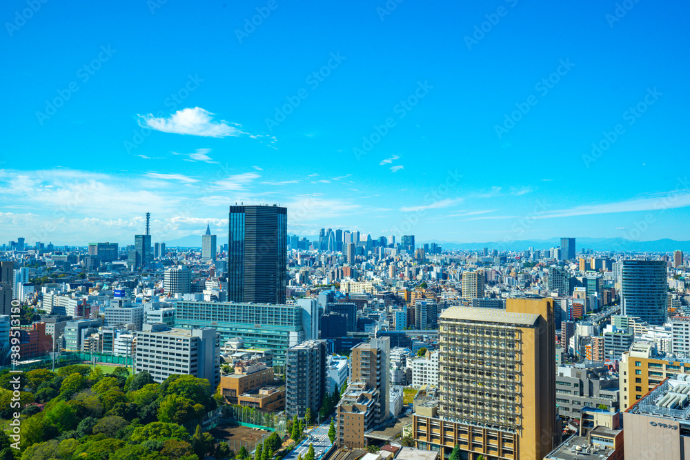 Obraz premium 【文京シビックセンターより】東京都内、都市景観/新宿・副都心方面