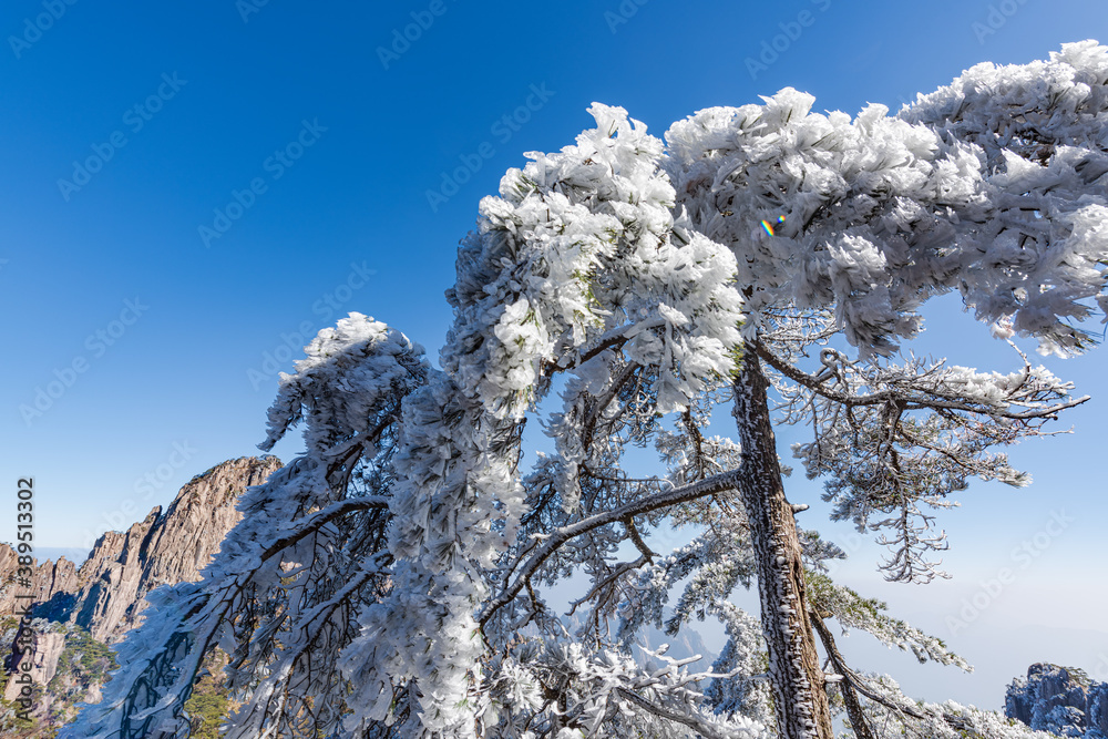 Rime on a sunny afternoon in Huangshan Scenic Area, Anhui, China Rime on a sunny afternoon in Huangshan Scenic Area, Anhui, China
