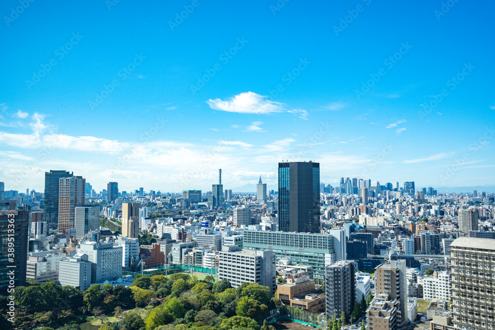 Obraz premium 【文京シビックセンターより】東京都内、都市景観/新宿・副都心方面