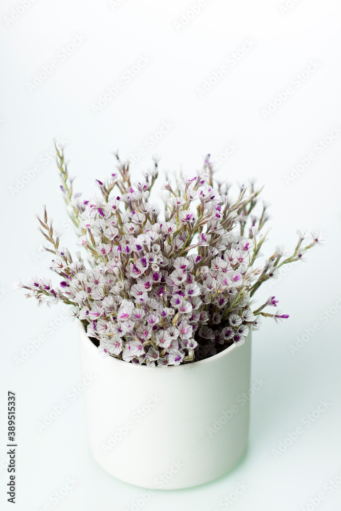 Obraz premium Dried flowers on white background