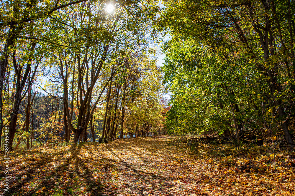 Naklejka premium The beautiful colors of the autumn near Diverting Reservoir in Brewster, N.Y.