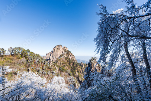 Rime on a sunny afternoon in Huangshan Scenic Area  Anhui  China