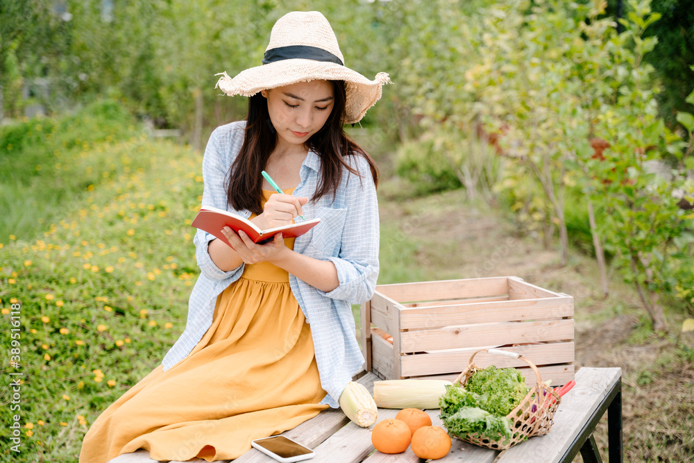 Obraz premium Farmer merchant woman doing Income statement from selling vegetables and fruits.