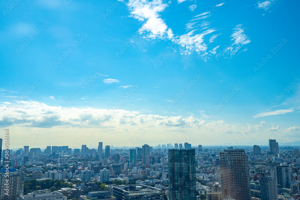 Fototapeta premium 東京 夕暮れの都市景観