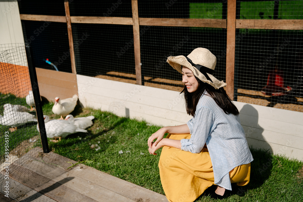Asian farmer woman wear hat looking at duck herd outdoors.