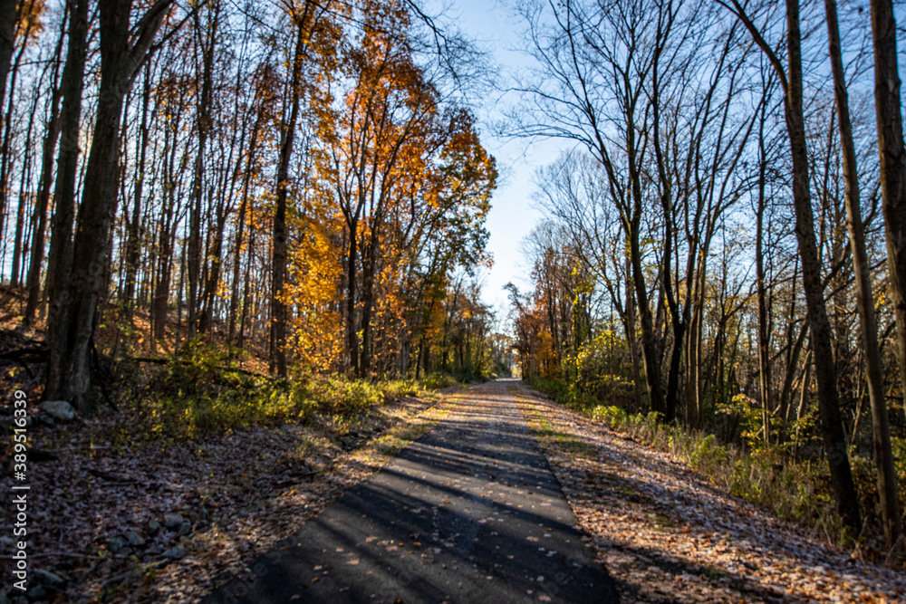 The Putnam Trailway glows in the colors of fall in Putnam County, N.Y.