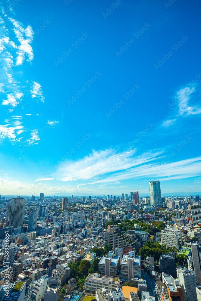 Fototapeta premium 【東京タワーより】東京都内、都市景観/六本木、渋谷方面