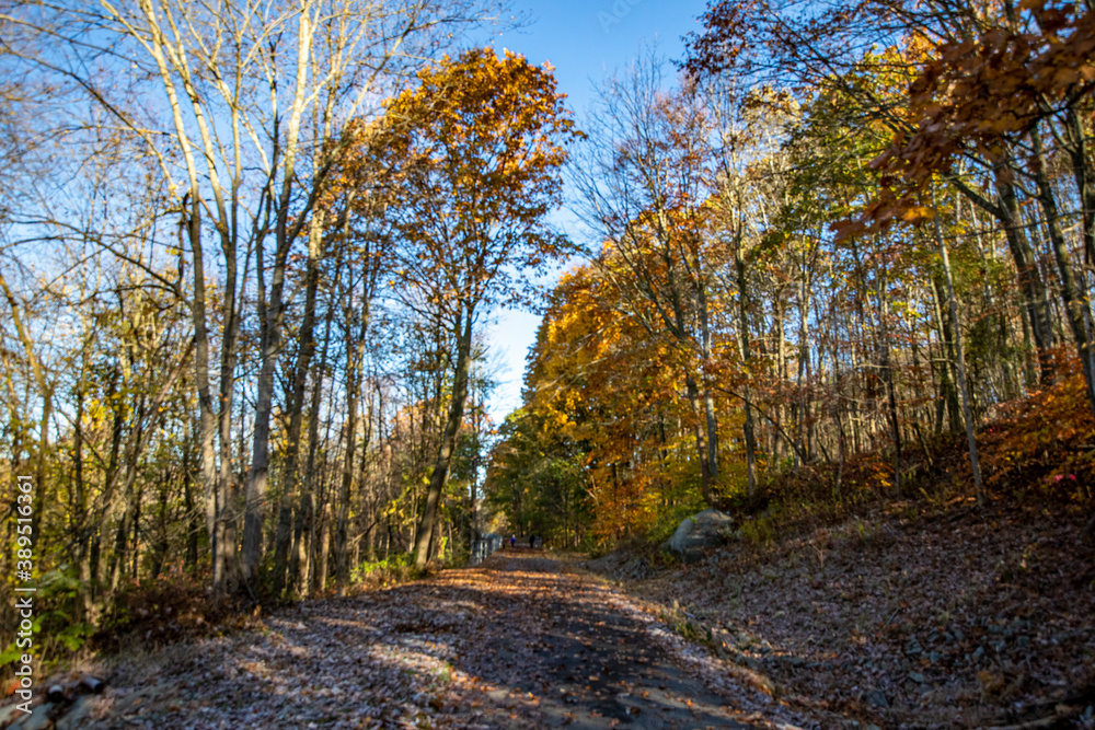 The Putnam Trailway glows in the colors of fall in Putnam County, N.Y. The Putnam Trailway glows in the colors of fall in Putnam County, N.Y.