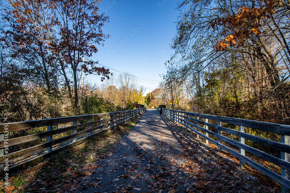 The Putnam Trailway glows in the colors of fall in Putnam County, N.Y.