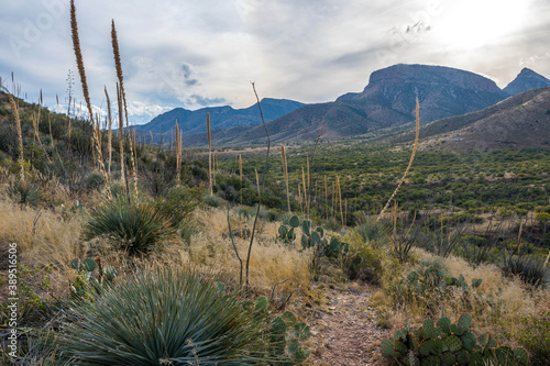 An overlooking view of Kartchner Caverns NP, Arizona photo