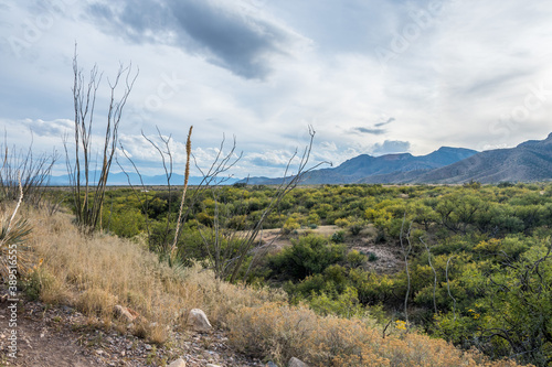 An overlooking view of Kartchner Caverns NP, Arizona photo