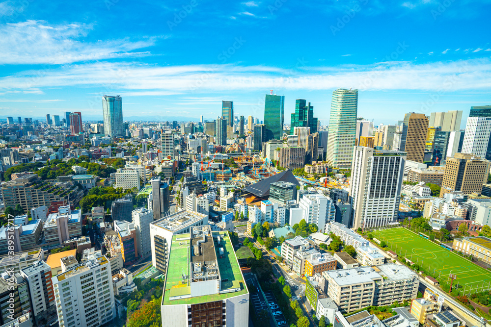 Obraz premium 【東京タワーより】東京都内、都市景観/六本木、虎ノ門方面