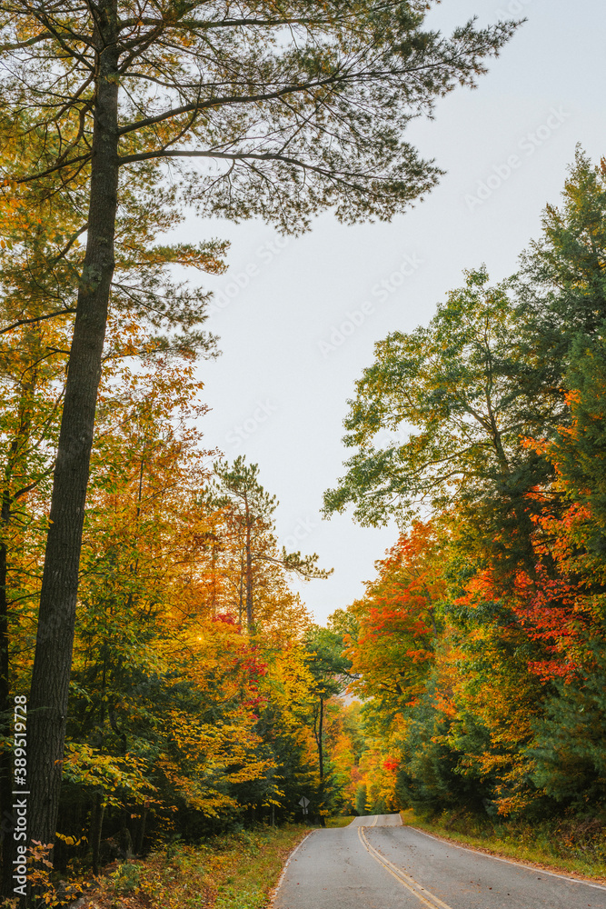 Fall foliage on a quiet desolate road