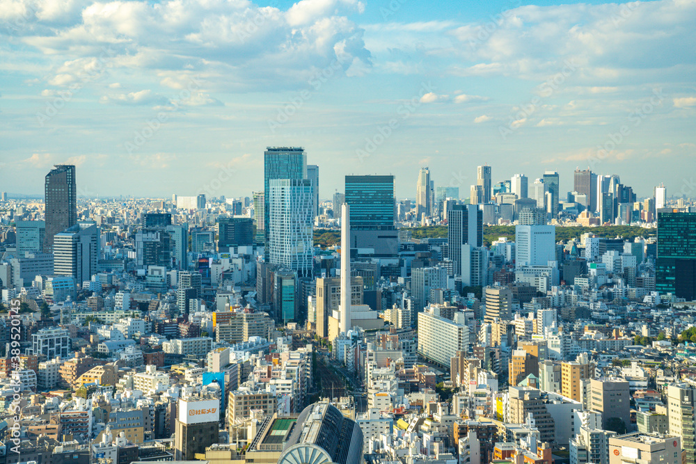 Fototapeta premium 【恵比寿ガーデンプレイスより】都内景観・眺望・渋谷・新宿副都心方面