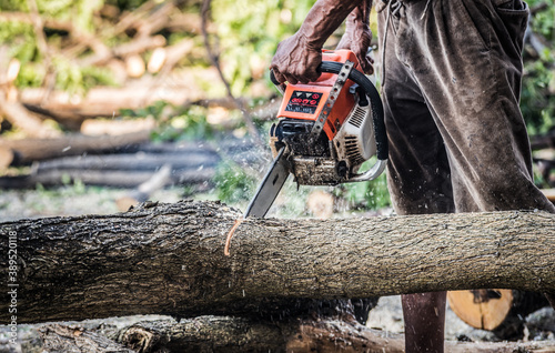 фотографія Dramatic style a logger sawing the wood by electric saw.