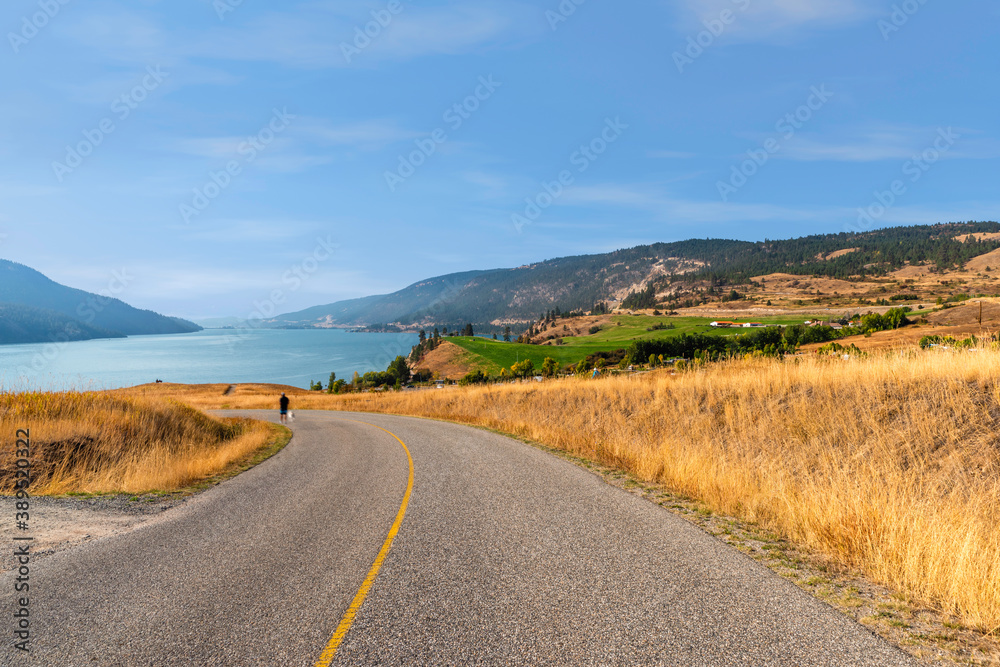  asphalt road descending to the river, yellow steppe grass along the edges of the road, hills covered with green grass
