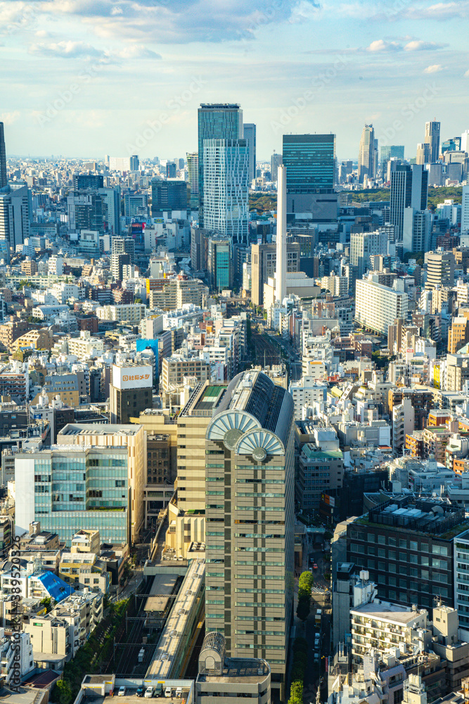 Fototapeta premium 【恵比寿ガーデンプレイスより】都内景観・眺望・渋谷・新宿副都心方面