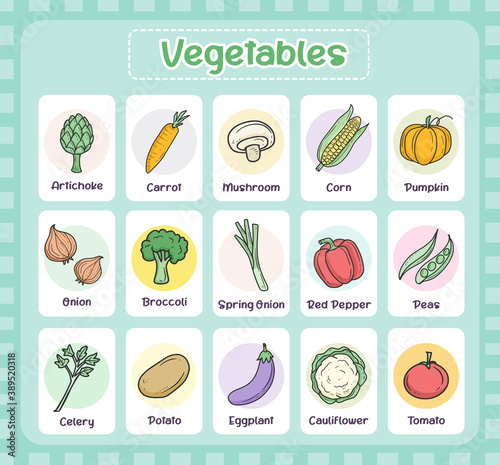 Vegetables flash card for kids learning design vector