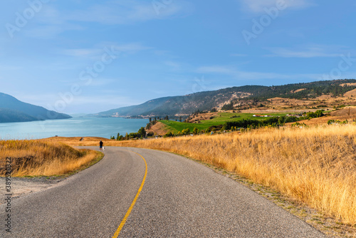 Fényképezés asphalt road descending to the river, yellow steppe grass along the edges of th