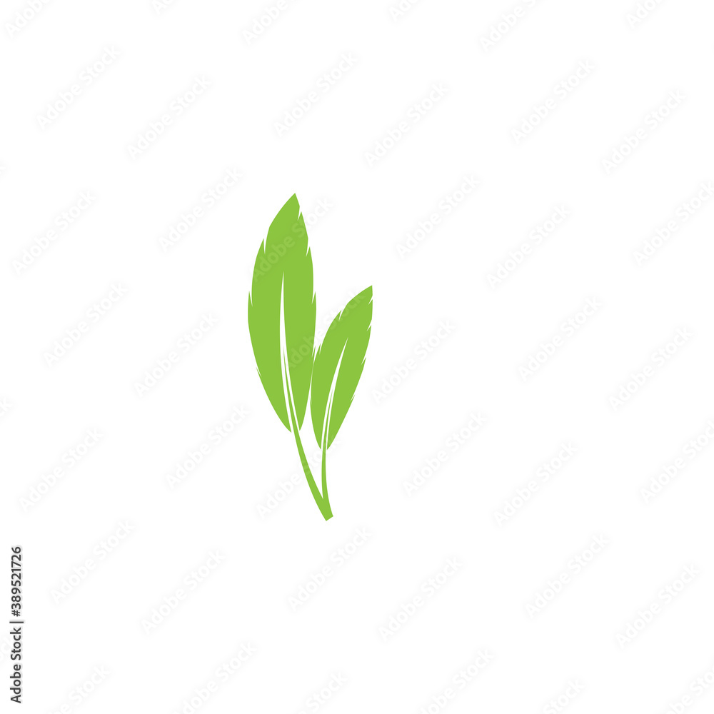 Fototapeta premium Leaf Logo Template vector symbol