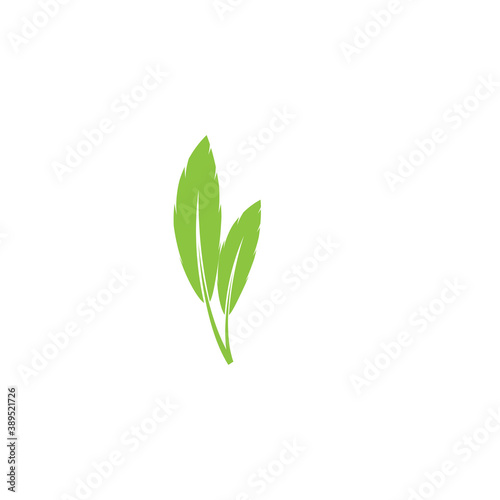 Leaf Logo Template vector symbol