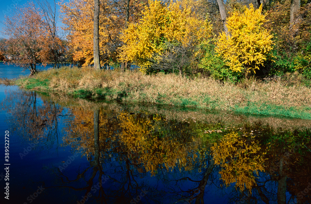 442-38 Prairie Creek Autumn Color Reflections